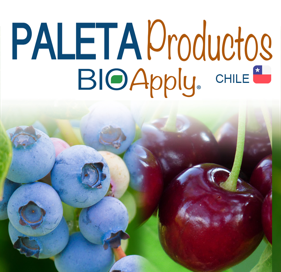 PALETA PRODUCTOS CHILE